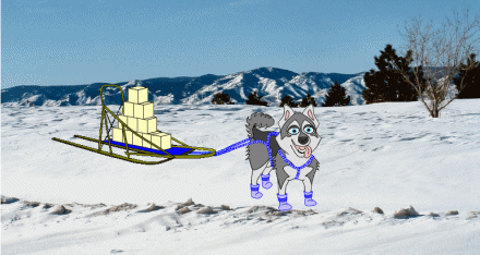 Sled Dog Animation